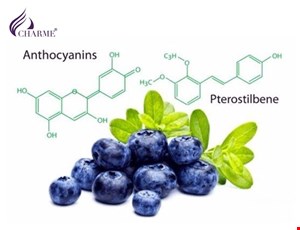 Hiệu quả làm đẹp da của quả việt quất