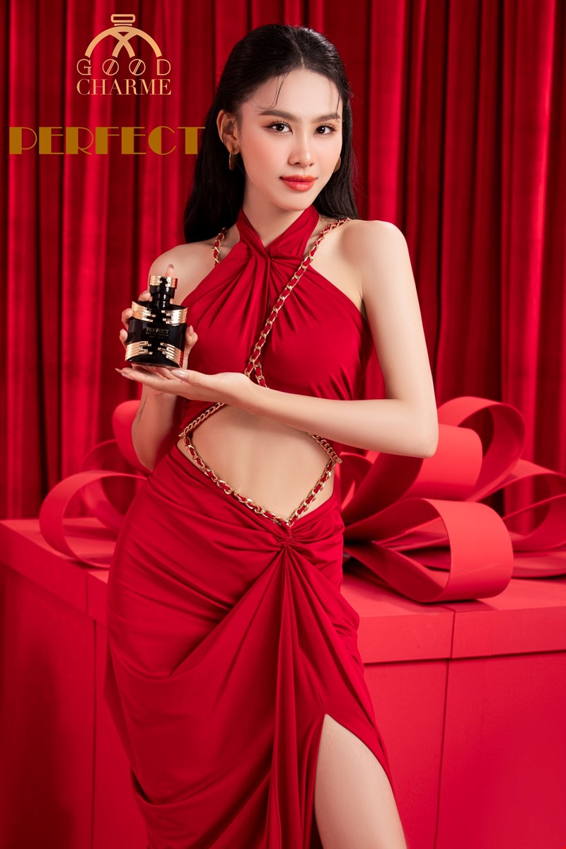 Nước Hoa Nam Charme Perfect 100ml